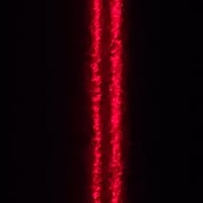 reconstruction of double slit